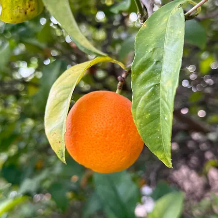 Hébergement de vacances Mazet Très Calme, Dans La Colline, 15 Mins à Pied *