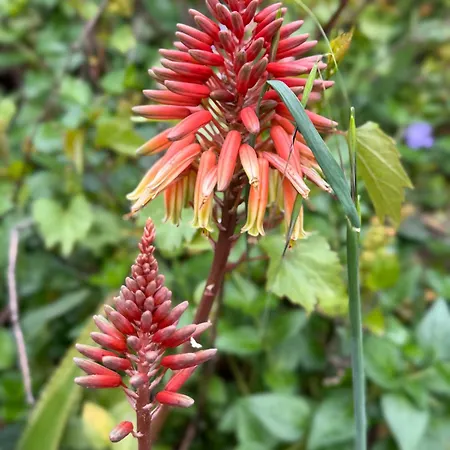 Mazet Tres Calme, Dans La Colline, 15 Mins A Pied Ferienhaus