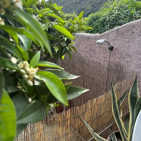 Ferienhaus Mazet Tres Calme, Dans La Colline, 15 Mins A Pied Le Lavandou