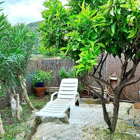 Mazet Tres Calme, Dans La Colline, 15 Mins A Pied Le Lavandou