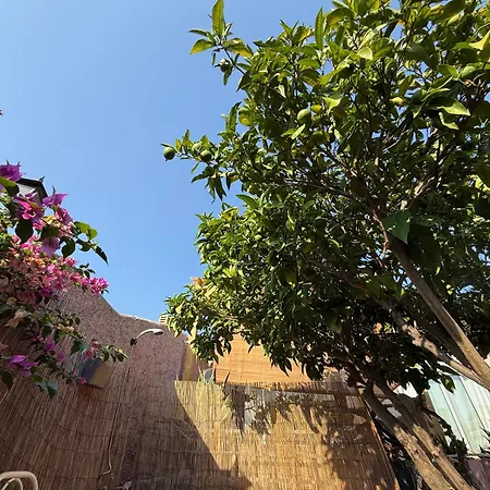 Mazet Tres Calme, Dans La Colline, 15 Mins A Pied Nyaraló