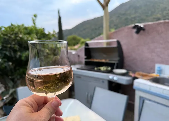 Nyaraló Mazet Tres Calme, Dans La Colline, 15 Mins A Pied Le Lavandou