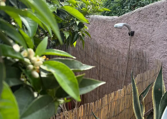 Semesterbostad Mazet Tres Calme, Dans La Colline, 15 Mins A Pied Le Lavandou