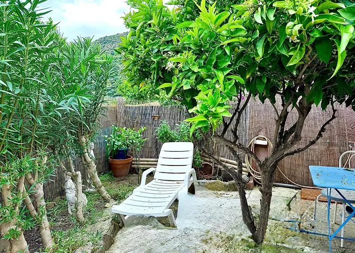 Mazet Tres Calme, Dans La Colline, 15 Mins A Pied Le Lavandou