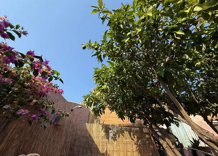 Mazet Tres Calme, Dans La Colline, 15 Mins A Pied Semesterbostad